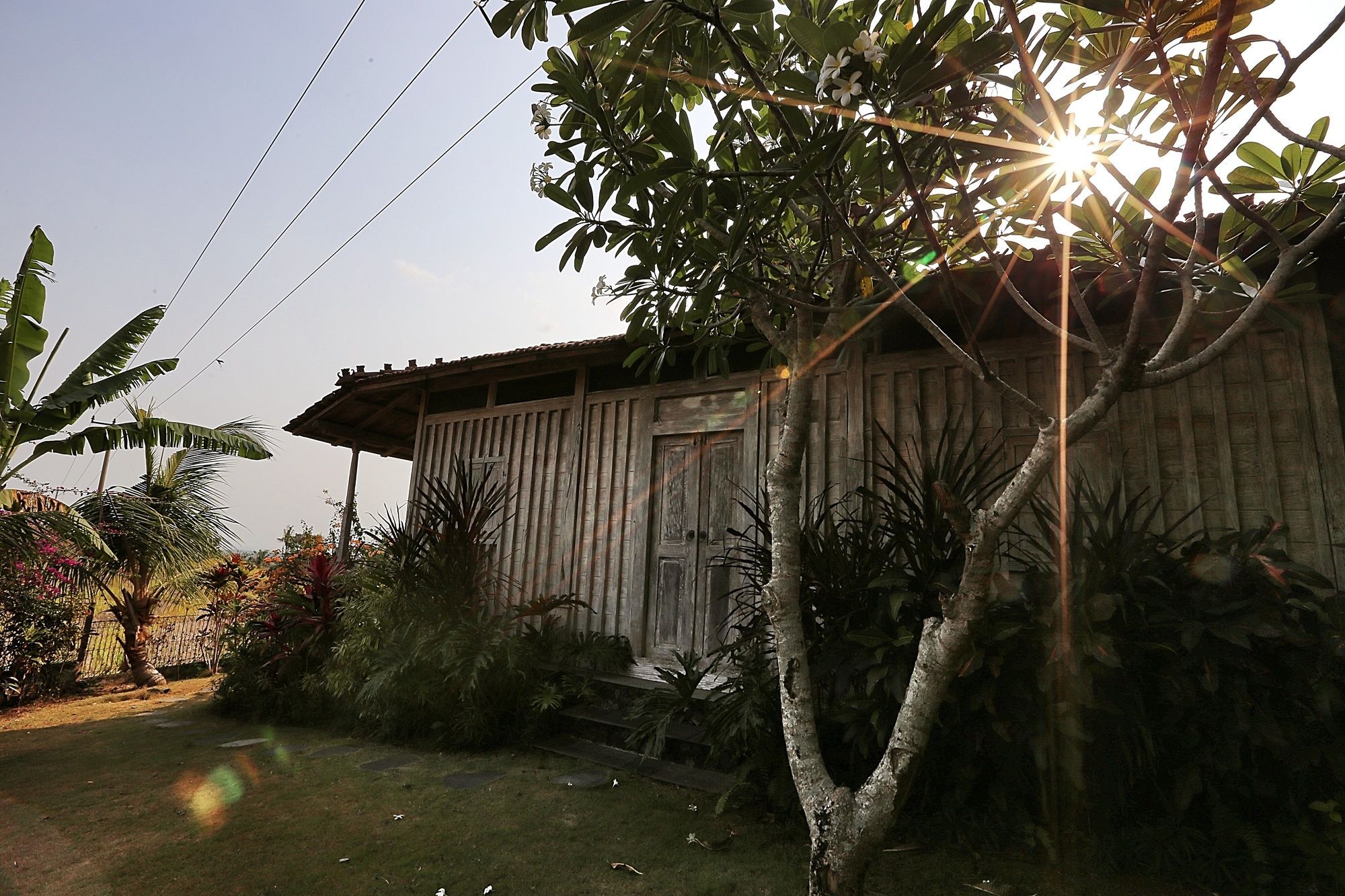 The Sanyas Retreat Otel Selemadeg Dış mekan fotoğraf